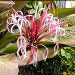 Photo taken by Brett F