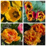 Photo taken by Shannon F