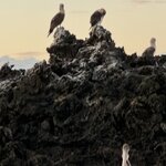 Photo taken by Gary W