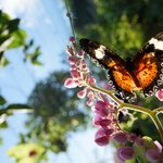 Photo taken by Alexandra G