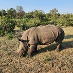 Photo taken by Yin Ling K