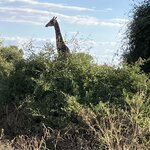 Photo taken by rhonda c