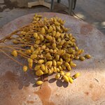 Photo taken by Mike K