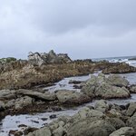 Photo taken by Mark S