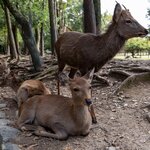 Photo taken by Jessica R