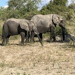 Photo taken by rhonda c