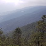 Photo taken by George A