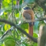 Photo taken by Graham D