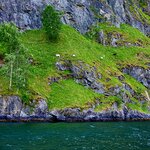 Photo taken by Linda M