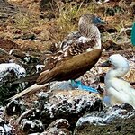 Photo taken by Katherine A