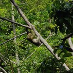 Photo taken by Mordechay T