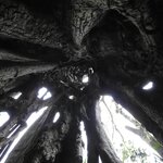 Photo taken by Mary D