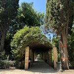 Photo taken by Sakura I