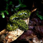 Photo taken by Dawne D