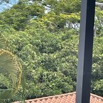 Photo taken by Julie G