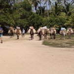 Photo taken by Martha V