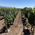 Photo taken by carlos d