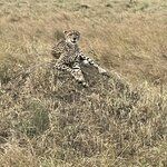 Photo taken by Julien C