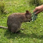 Photo taken by Shannon R