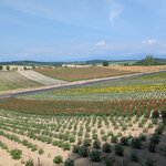 Photo taken by Caroline K