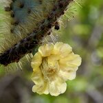 Photo taken by Joseph P