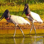 Photo taken by Dennis H