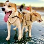 Photo taken by Kristin T