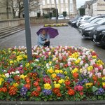 Photo taken by Kathryne M