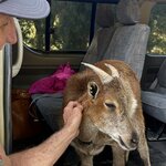 Photo taken by Wendell C