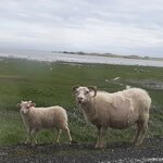 Photo taken by Denise H