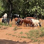 Photo taken by Michael L