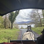 Photo taken by Laura F