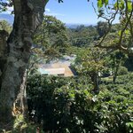 Photo taken by Luke T