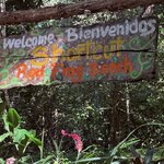 Photo taken by James B