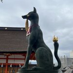 Photo taken by Kirti P