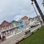 Photo taken by Shelley H