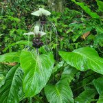 Photo taken by Sabiha K