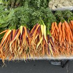 Photo taken by Amy Z