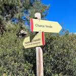 Photo taken by Joey R