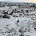 Photo taken by Julie M