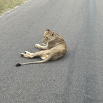 Photo taken by Christopher F