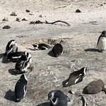 Photo taken by Janie W