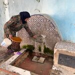 Photo taken by Brenda A