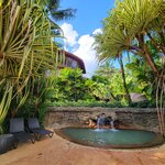 Photo taken by Kristy P