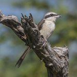 Photo taken by Graham D