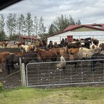 Photo taken by PETER S