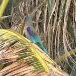 Photo taken by Fuad A