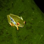 Photo taken by Wilbert A