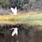 Photo taken by Laura H