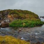 Photo taken by Debbie B